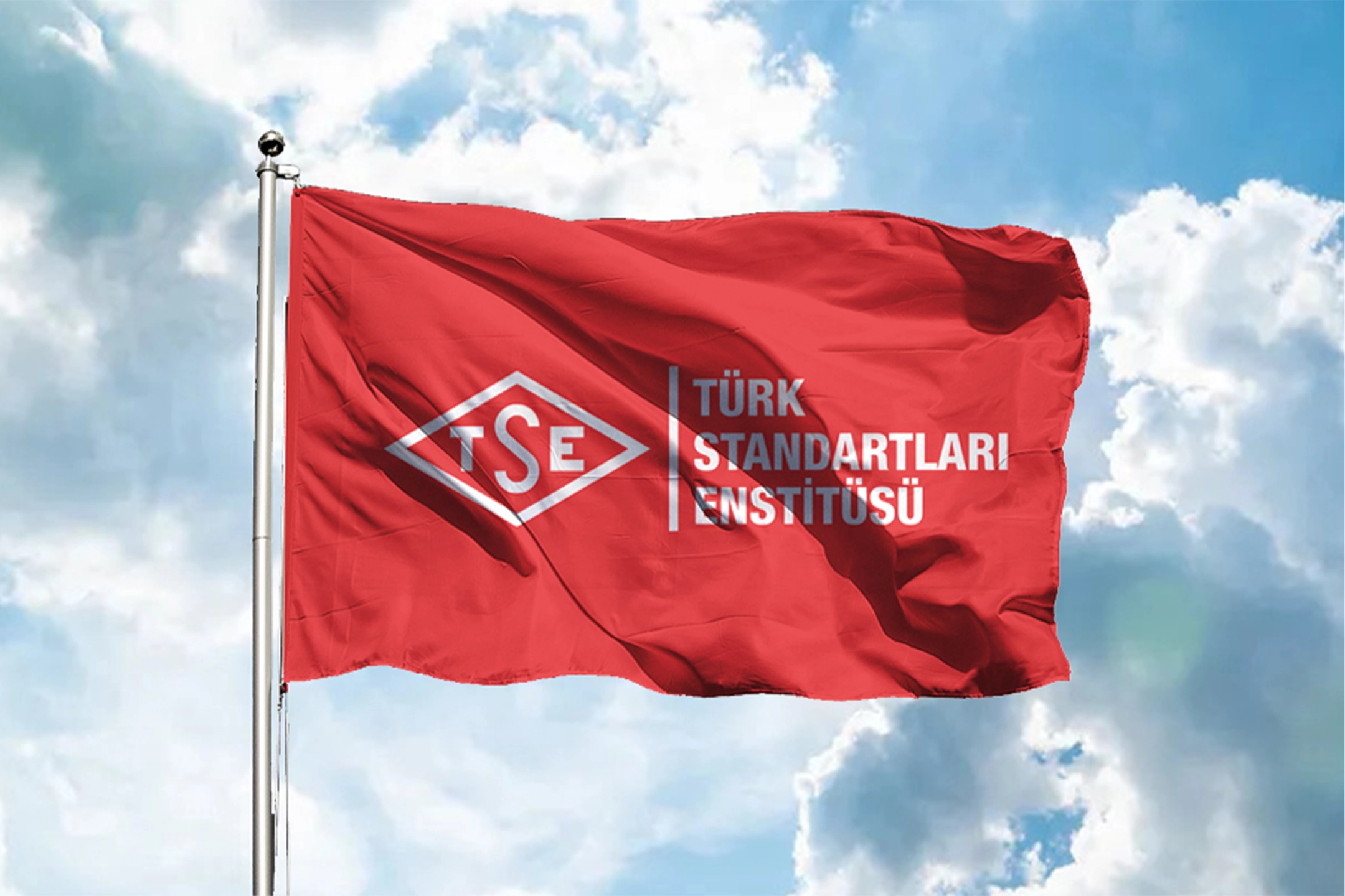 TSE Belgesi Nedir?